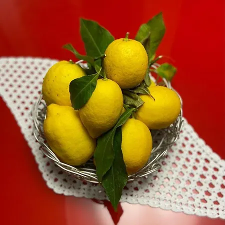 Guest house Lemon Tree Al Golf *