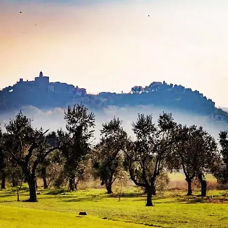 Lemon Tree Al Golf ゲストハウス Miglianico