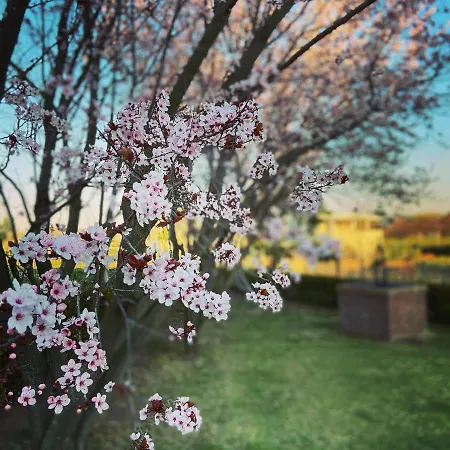 Lemon Tree Al Golf Miglianico