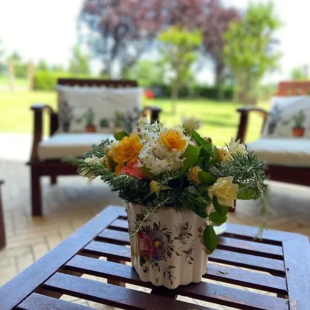 Guest house Lemon Tree Al Golf